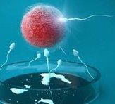 10个人去做试管婴儿有几个能成功的？