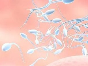 2026吉林长春十佳助孕公司名单，助你顺利求子！