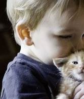 2026年上海助孕公司排名揭晓，您的信赖之选都在这里！